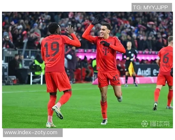 拜仁斯坦尼西奇预计伤缺三周或于二月九日对霍村复出